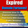 Thumbnail Expired Domains Fortunes, How to Buy Expired Domains Thumbnail Expired Domains Fortunes, How to Buy Expired Domains